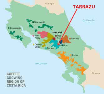 哥斯達黎加塔鑽石系列拉珠米拉蘇蜜處理瑰夏咖啡豆故事和風味特點