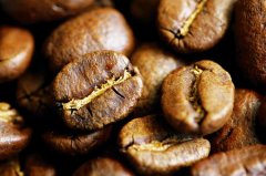 【喝咖啡十問】咖啡因含量和你想的不一樣？
