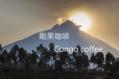 剛果卡維薩幸運之神競標批次咖啡豆風味口感香氣描述
