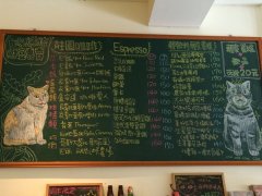 【貓開店】阿萬&大寶顧店中——咖啡實驗室