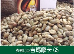 2017埃塞俄比亞 吉馬摩卡G5咖啡風味口感香氣描述