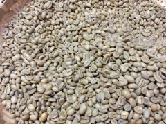 埃塞俄比亞耶加雪啡 孔加水洗 G1咖啡風味口感香氣描述