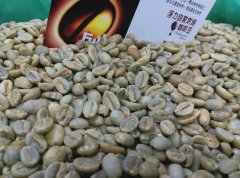 埃塞俄比亞日曬耶加雪啡 孔加 阿格西小農日曬G1咖啡風味口感香氣