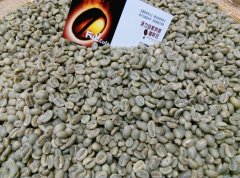 耶加雪啡紅櫻桃計劃畢洛雅合作社水洗原生種咖啡風味口感香氣描述