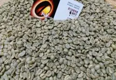 耶加雪啡紅櫻桃計劃畢洛雅合作社水洗原生種咖啡風味口感香氣描述