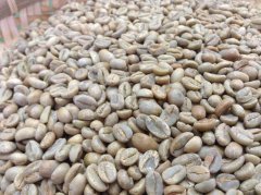 埃塞俄比亞 阿杜莉納 科契爾 圓豆咖啡風味口感香氣描述