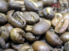 埃塞俄比亞 摩卡日曬 G4咖啡風味口感香氣描述烘焙建議