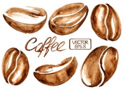 科學解讀：咖啡因與味覺的關係