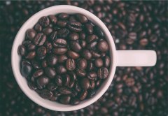 如果咖啡豆出油就表示已經不新鮮？你可能誤會了～