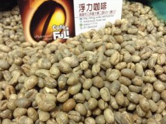坦桑尼亞 乞力馬紮羅北部PB圓豆咖啡風味口感香氣描述