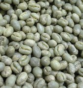 危地馬拉 拉米尼塔 花神水洗圓豆咖啡風味口感香氣描述