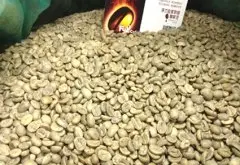 危地馬拉 薇薇特南果 SHB EP水洗咖啡豆風味口感香氣描述
