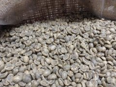 危地馬拉 鹽倉薩琳娜莊園咖啡風味口感香氣描述