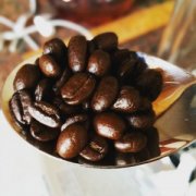印尼楠榜咖啡供應商協會：羅布斯達咖啡產量大幅下降70%