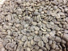 危地馬拉Ceylan 席蘭莊園——有機認證咖啡風味口感香氣描述