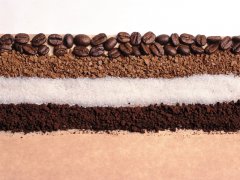 巴拿馬 卡莎&#8231;露易斯波魁特 精選 SHB咖啡風味口感香氣描述