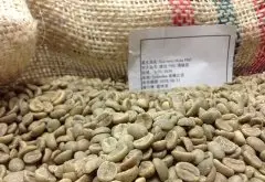 哥倫比亞 FNC 薇拉頂級豆水洗咖啡風味口感香氣描述