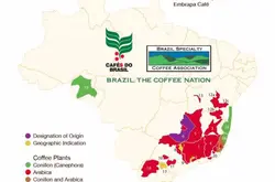 關於巴西咖啡產區Cerrado Mineiro產區巴西精品咖啡協會介紹