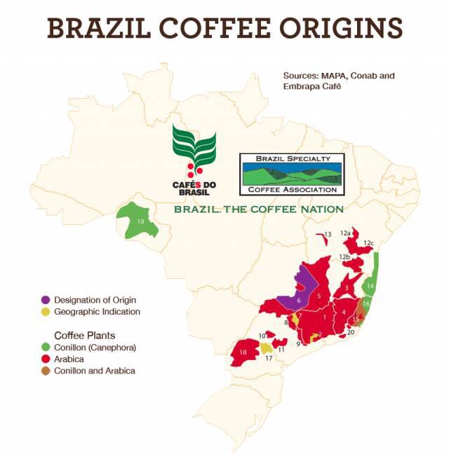 巴西產區介紹南米納斯喜拉多產區咖啡生豆全是阿拉比卡種