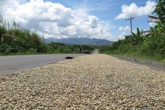 蘇門答臘亞齊省高原村莊計劃Gayo咖佑區星星鎮咖啡風味口感香氣描