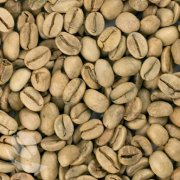 如何挑選高品質的咖啡生豆
