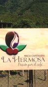 危地馬拉 美境莊園咖啡品種種植情況風味描述介紹