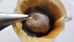 巴拿馬 艾利達莊園 日曬卡度依種精品咖啡豆風味口感香氣描述