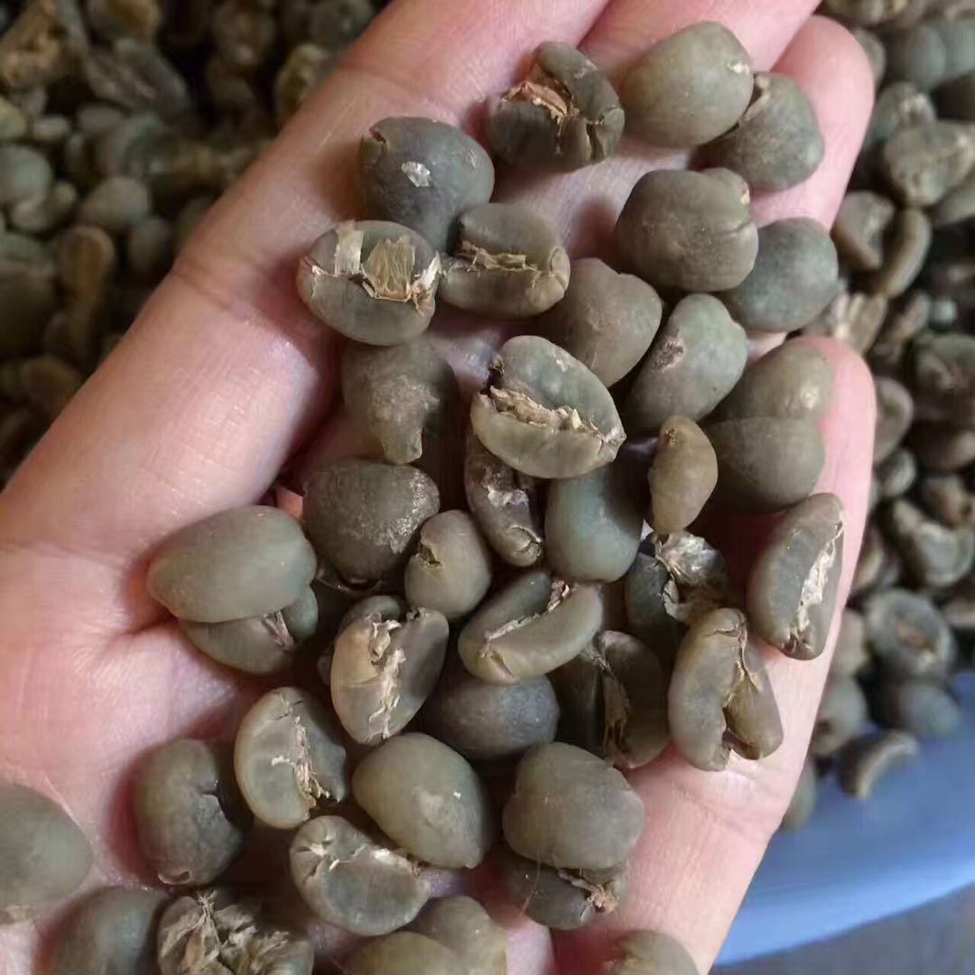 印尼曼特寧G1和黃金曼特寧咖啡豆等級特點口感風味區別介紹