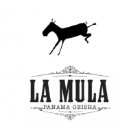 巴拿馬騾子莊園介紹La Mula2014年最佳巴拿馬BOP日曬騾子瑰夏