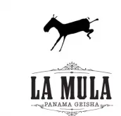 巴拿馬騾子莊園介紹La Mula2014年最佳巴拿馬BOP日曬騾子瑰夏