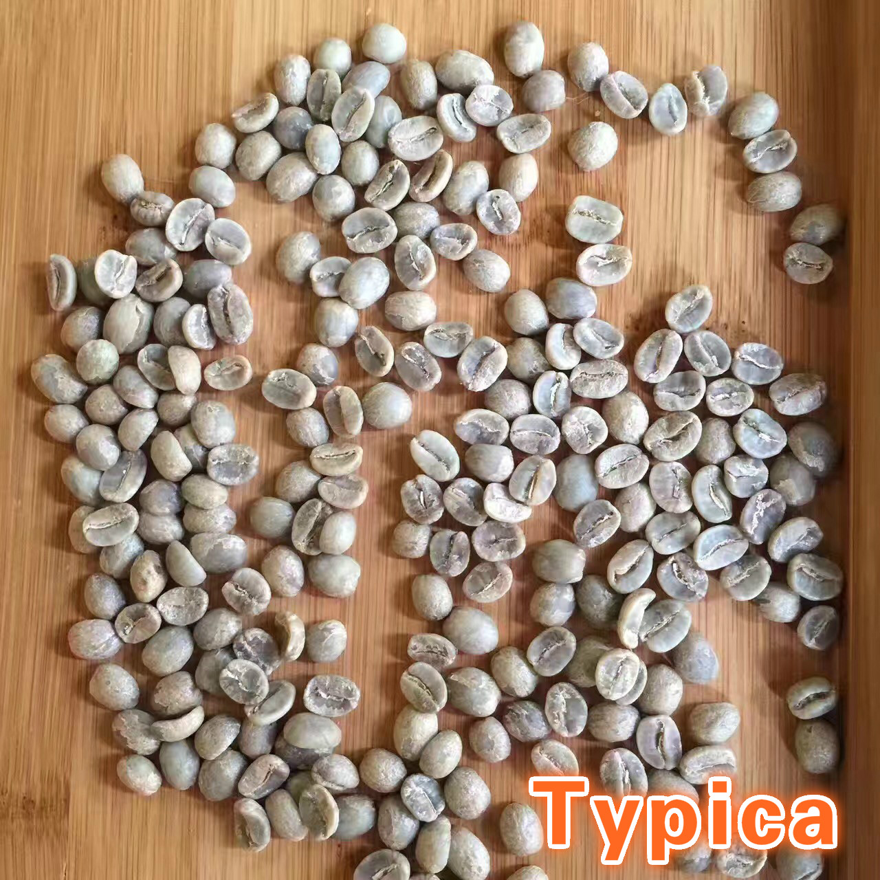 品鑑雲南小粒花果山Typica鐵皮卡阿拉比卡精品咖啡豆