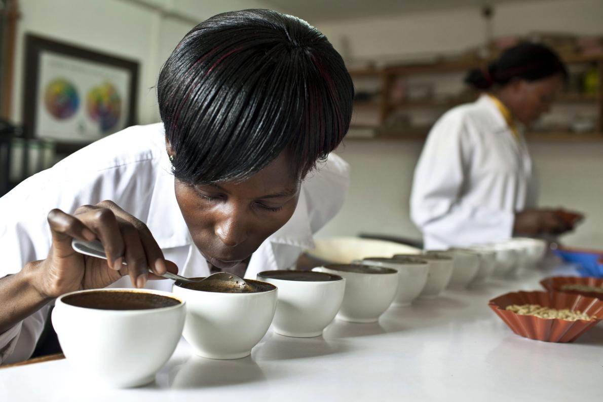 咖啡產區故事 | 面對重重困境，烏干達咖啡農民如何自救