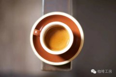 咖啡布粉手勢圖片展示 教你如何正確有效地布粉