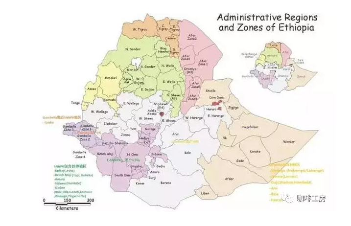 埃塞俄比亞九大精品產區地域介紹，日曬西達摩獅子王手衝參數