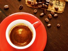 Rufous的深褐色咖啡癮角落，「堅持質量」是最高原則