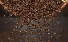 如何從你的咖啡豆中獲得最多（或最少）的咖啡因？