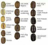 自學咖啡豆烘焙必備 咖啡烘焙色卡圖片