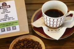 咖啡豆風味能保持多久最佳期限