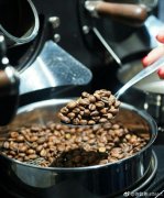 咖啡豆烘焙是發生的化學反應咖啡風味體現