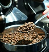 新手烘焙咖啡豆基礎知識進階