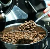新手烘焙咖啡豆基礎知識進階