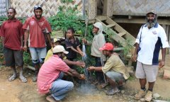有機與蔭栽種植——巴布亞新幾內亞咖啡小農合作社的大志氣