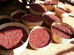 埃塞俄比亞 日曬耶加雪菲G1 科契爾鎮 柯瑞處理廠咖啡風味描述