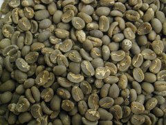 正確認識黃金曼特寧咖啡豆特點口感 黃金曼特寧名字由來故事