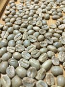 肯尼亞AA咖啡豆的特點特色 肯尼亞AA生豆怎樣分別