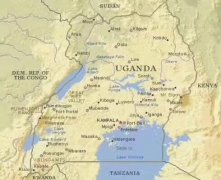 烏干達產區介紹，生豆分析，烘焙技巧及衝煮分析