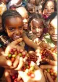 肯亞AA咖啡豆，沒有經過FTO認證的公平貿易咖啡豆