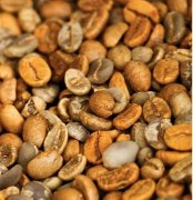 東非瑰寶90+—埃塞俄比亞的精品咖啡豆日曬耶加雪菲(燭芒)