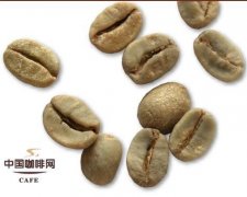 咖啡生豆處理法：半日曬和半水洗的區別 什麼是半日曬半水洗