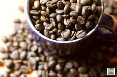 少農藥危機的咖啡產區、值得安心品嚐的蘇門答臘曼特寧